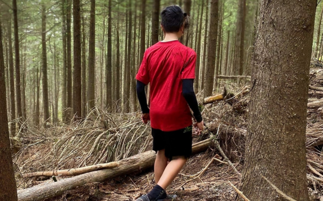 Jugendlicher arbeitet im Wald